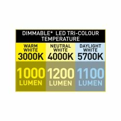 Hot Sale 🥰 Australia Only - Mercator 135cm White 5 Blades Gladis Ceiling Fan With Tricolour LED 🧨 -Metal Mate Shop 1d94d1359b4748259beb2d7861b67584