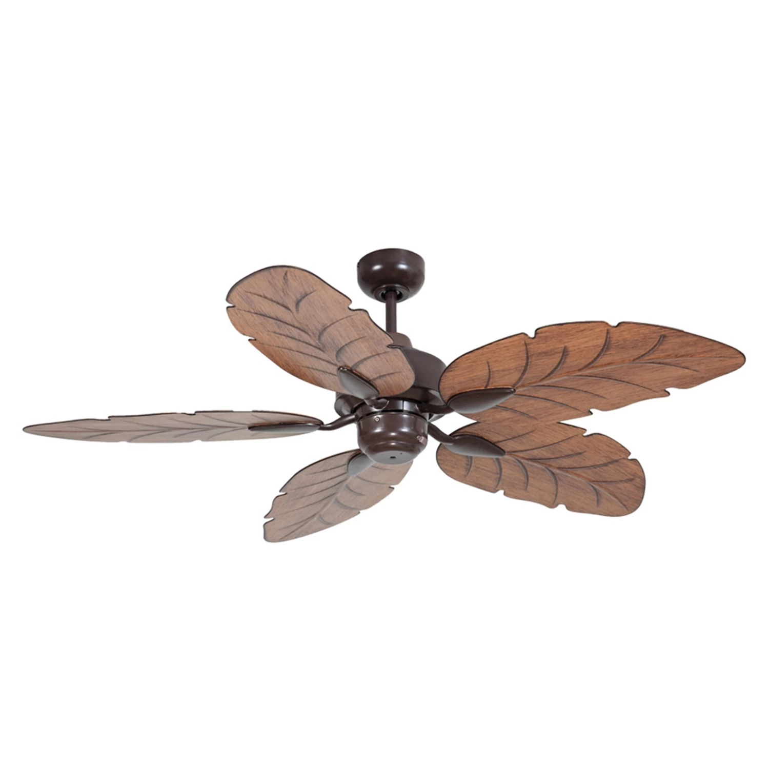Best deal 🌟 Australia Sale - Mercator 130cm Brown Cooya Ceiling Fan 😀 3 Best deal 🌟 Australia Sale - Mercator 130cm Brown Cooya Ceiling Fan 😀